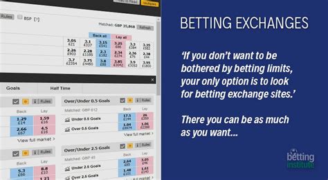 Best betting exchanges in the UK ranked for 2024 .